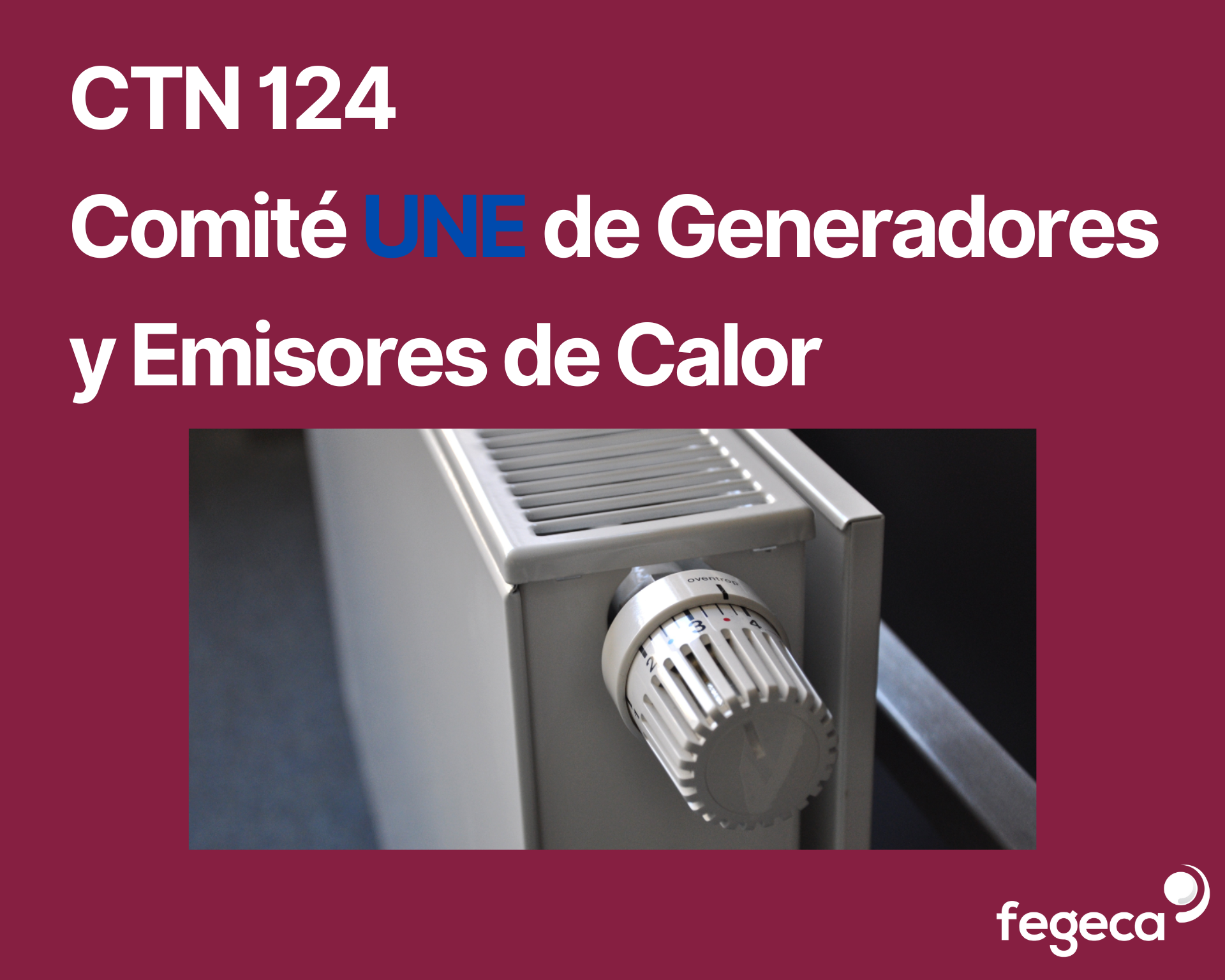 Celebración del Plenario del CTN 124 