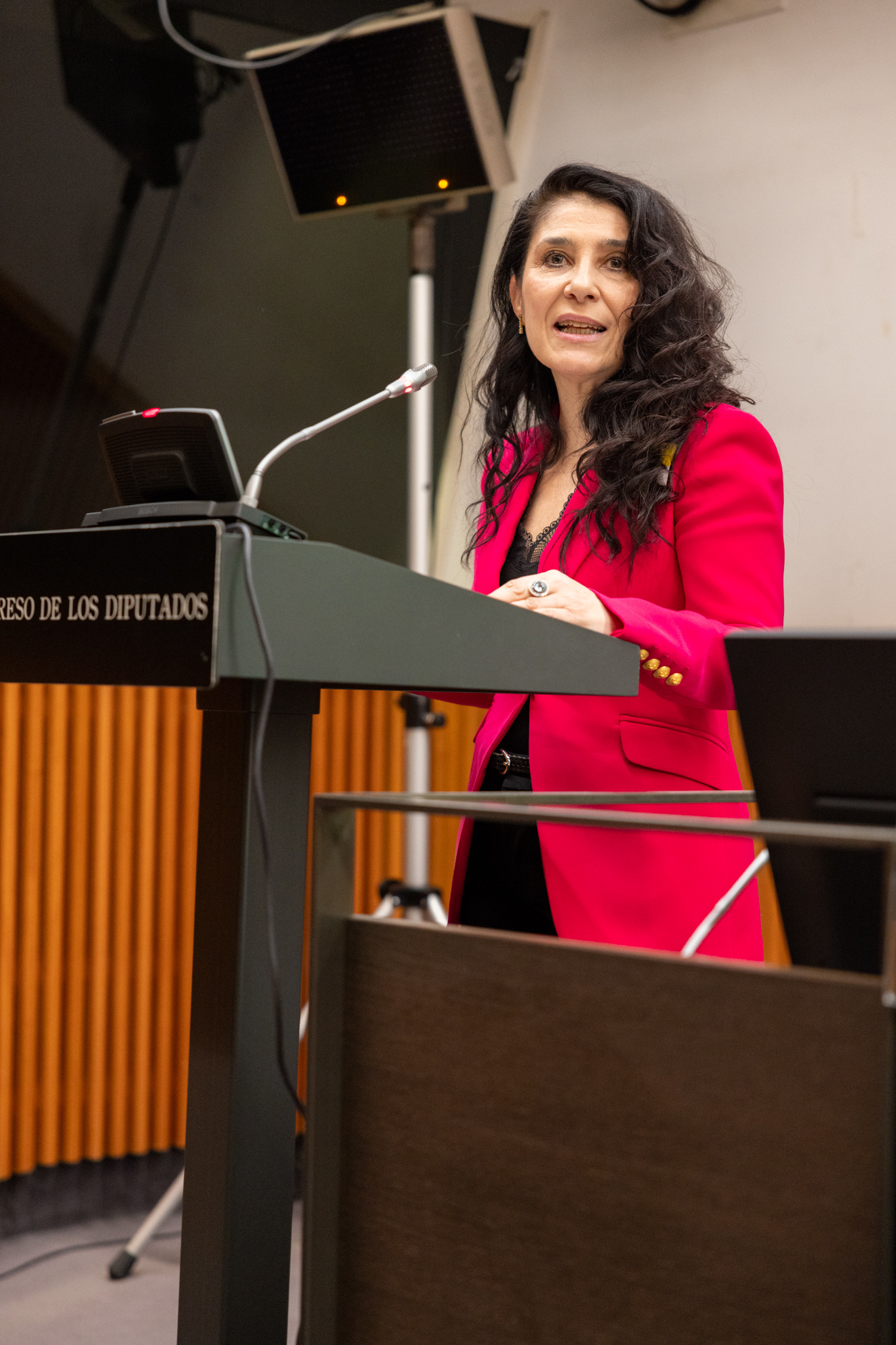 Gas Verde, Sí y FEGECA llevan el biometano al centro del debate energético en el Congreso