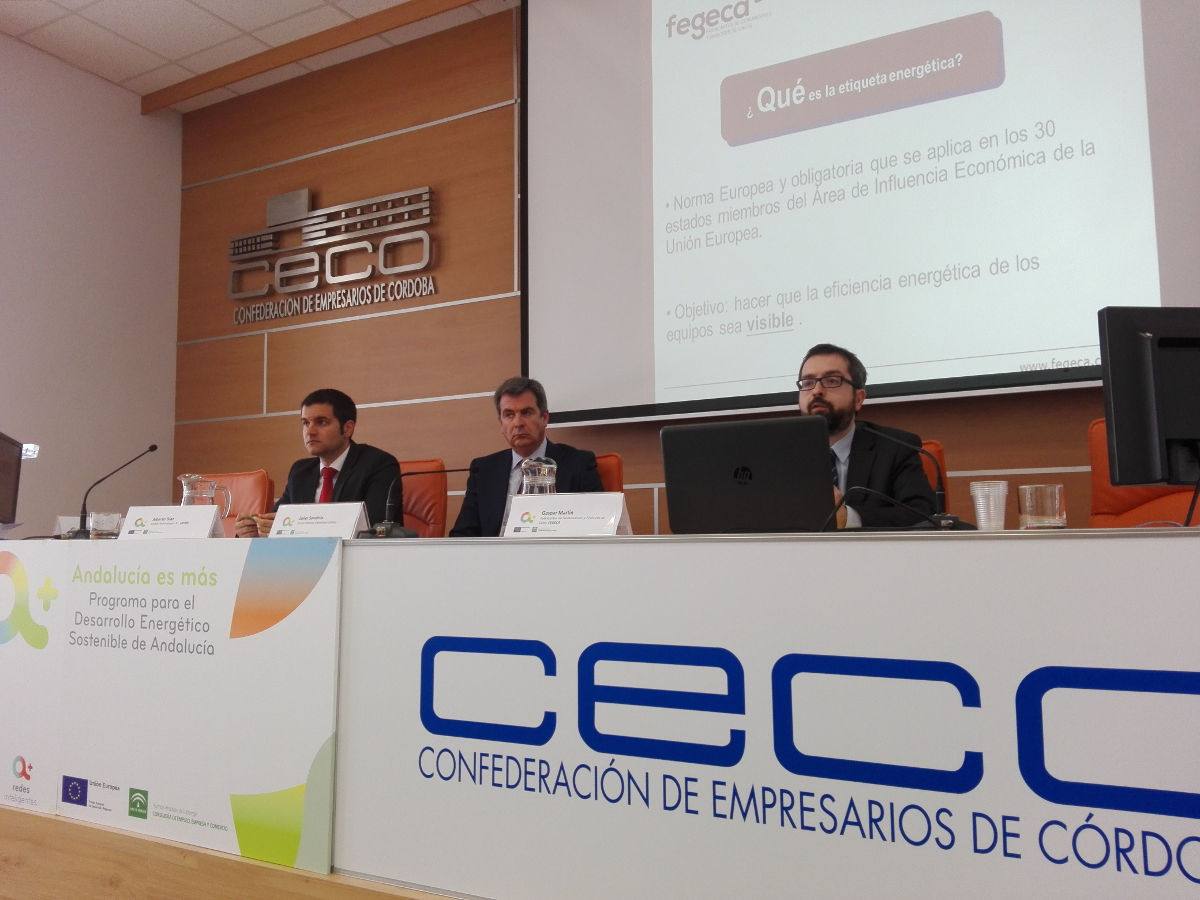 FEGECA participa en las Jornadas sobre el Programa de Incentivos para el Desarrollo Energético Sostenible de Andalucía