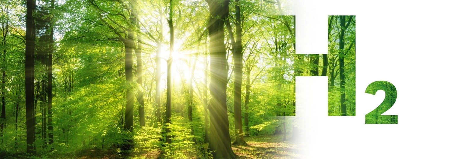 Bosch Industrial presenta su apuesta por la hibridación en el Taller de Tecnologías para la Descarbonización