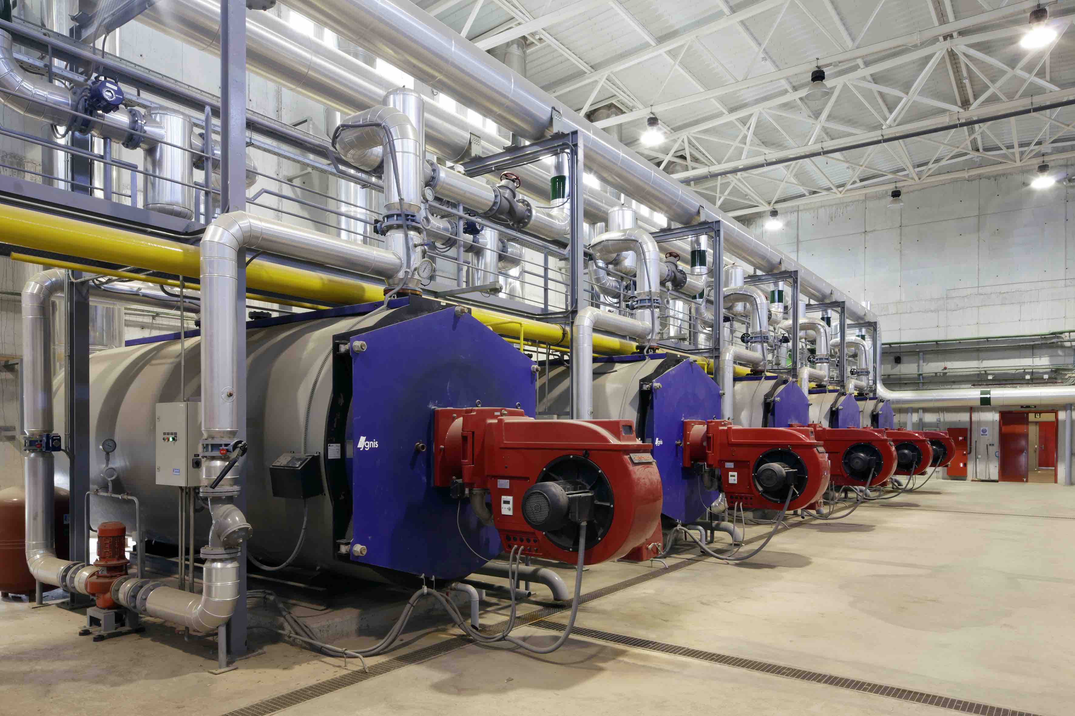 Ygnis despide 2023 celebrando el año en que cumplió 80 años de innovación